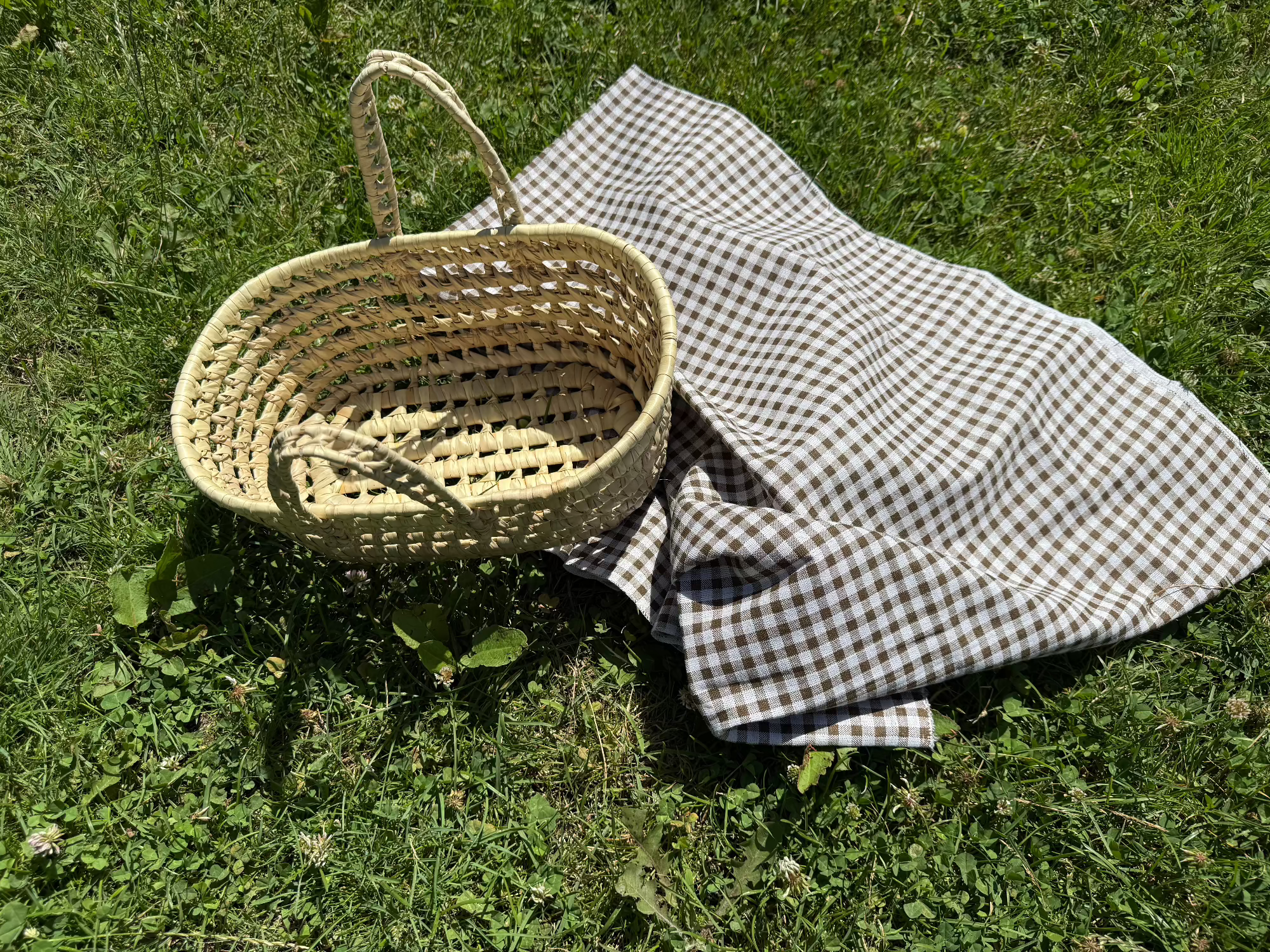 Cesta de Picnic para Salir a Comer en el Campo