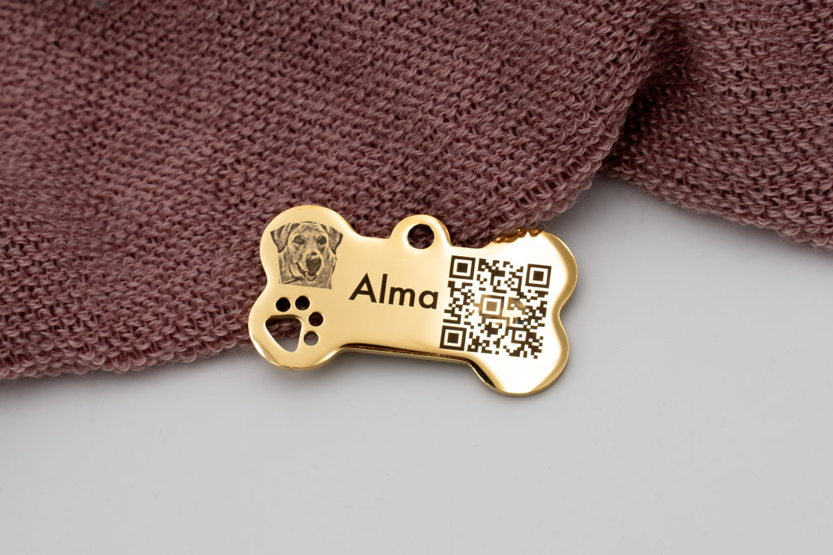 Chapa dorada personalizada para perro con nombre Alma, fotografía grabada y código QR inteligente.