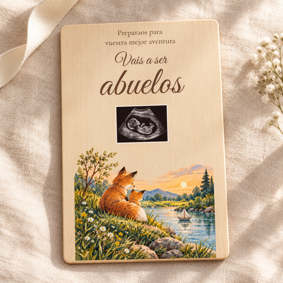 Haurdunaldia iragartzeko Abentura plakaren argazki-simulazioa, azeriekin eta adibideko ekografia batekin.