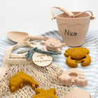 Kit de Playa de Cubos y Animales de silicona personalizados Arena Arcilla