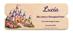 Disneyland Parisera joateko gonbidapen ilustratu baten simulazio digitala, kontratxapatu gainean; benetako itxura alda daiteke.