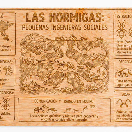 Murales Escolares Originales Grabados en Madera