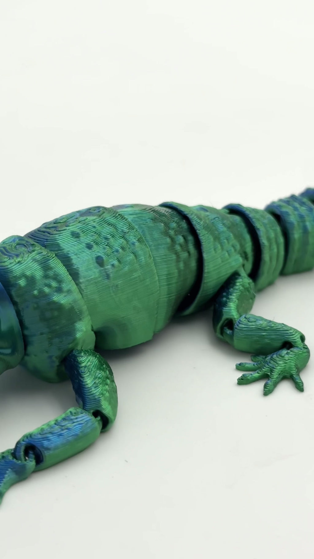 Manta Raia Impresa en 3D
