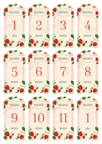 Diseño Fresas de picnic del set de cumplemeses personalizados