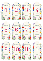 Diseño Jardín silvestre del set de cumplemeses personalizados