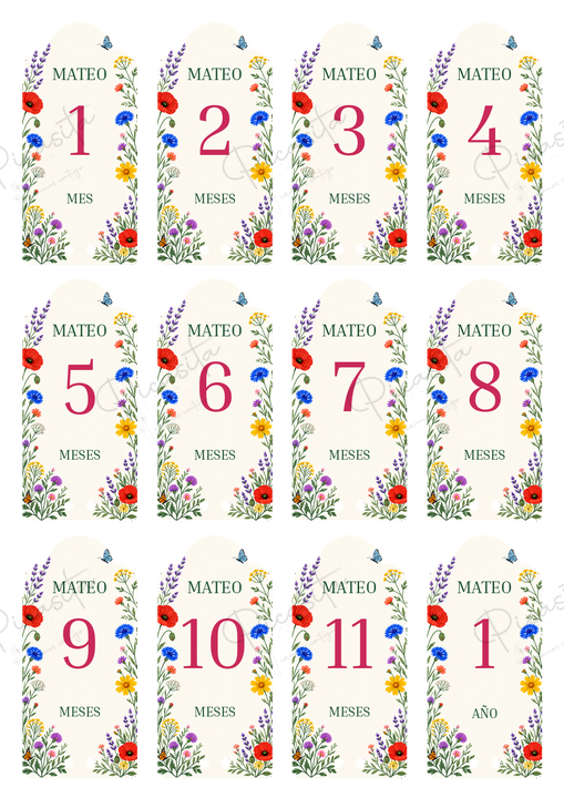 Diseño Jardín silvestre del set de cumplemeses personalizados